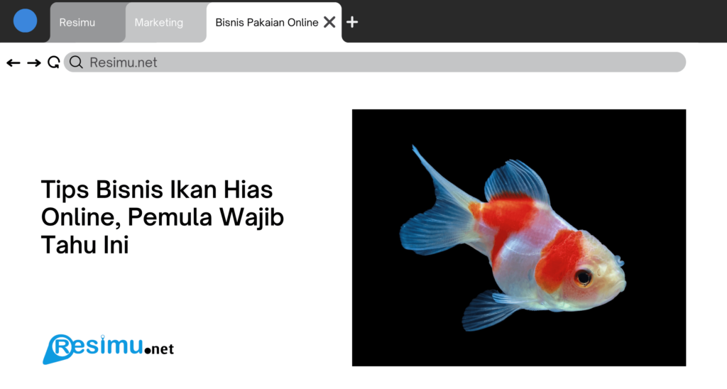 Tips Bisnis Ikan Hias Online Pemula Wajib Tahu Ini